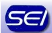 SEI.jpg SEI.jpg